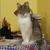 Отзыв от Эмма Ширяева